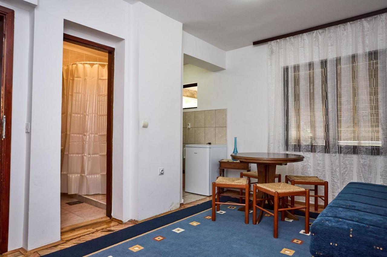 Apartmani Dr. Gasa Sokobanja Extérieur photo