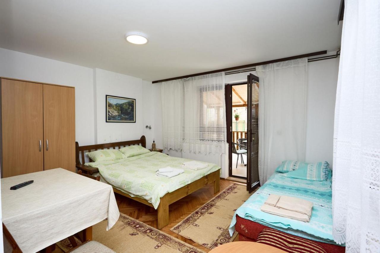 Apartmani Dr. Gasa Sokobanja Extérieur photo