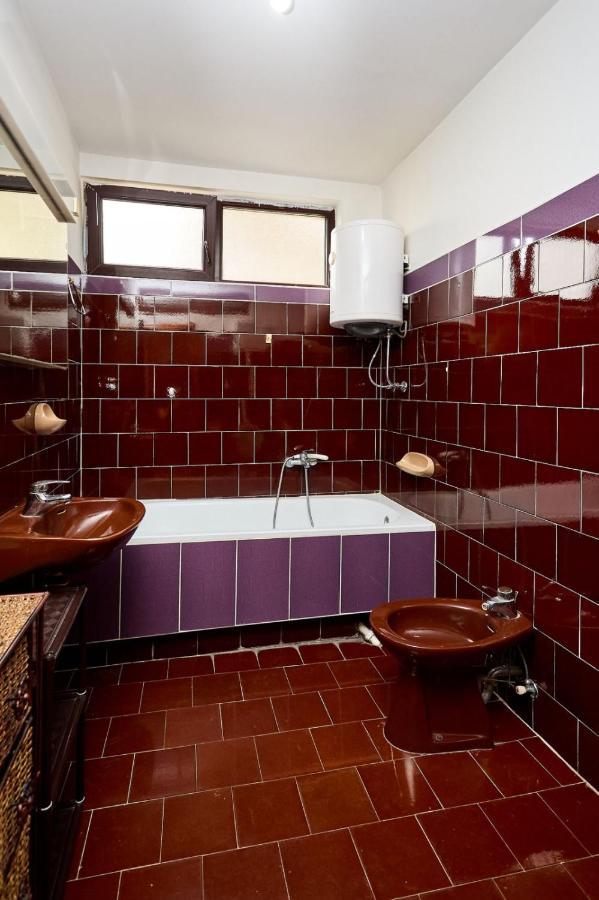 Apartmani Dr. Gasa Sokobanja Extérieur photo
