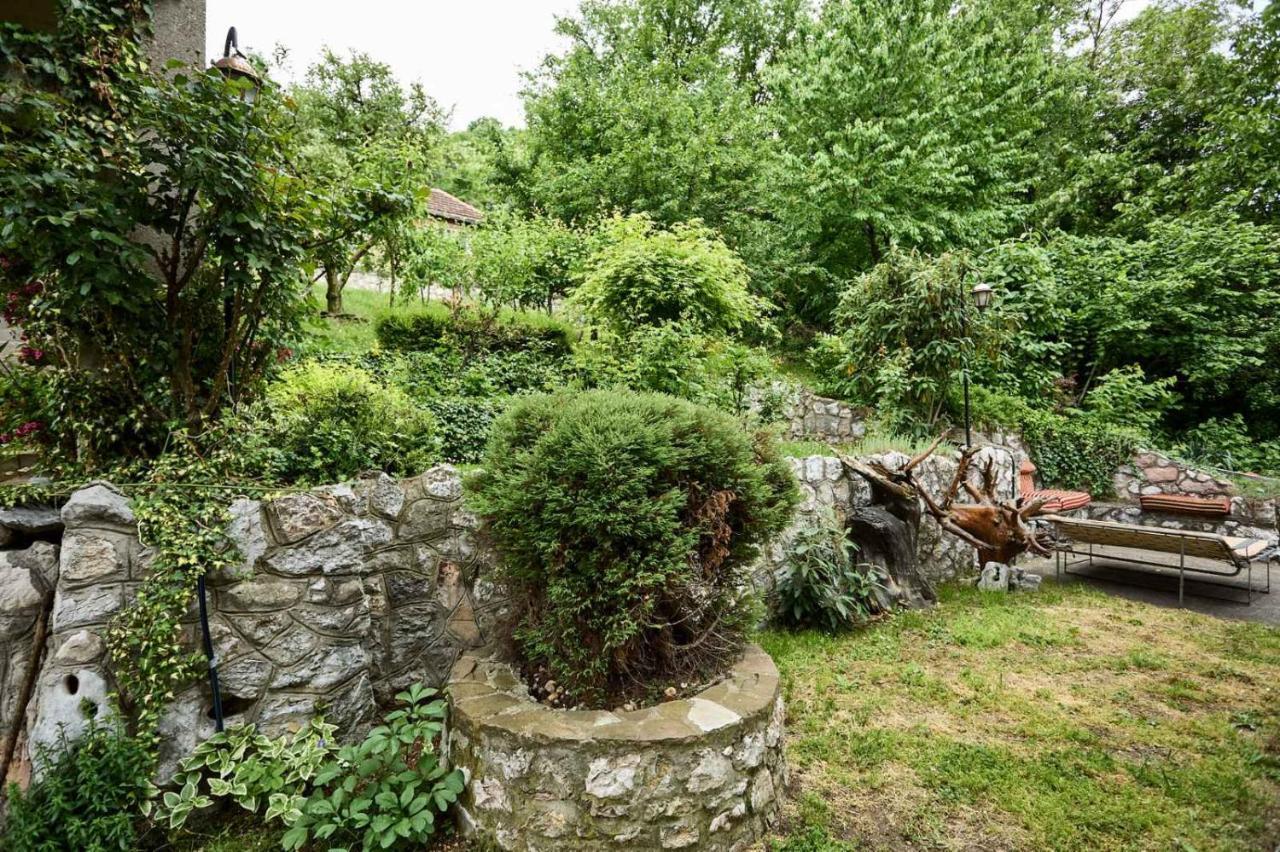 Apartmani Dr. Gasa Sokobanja Extérieur photo